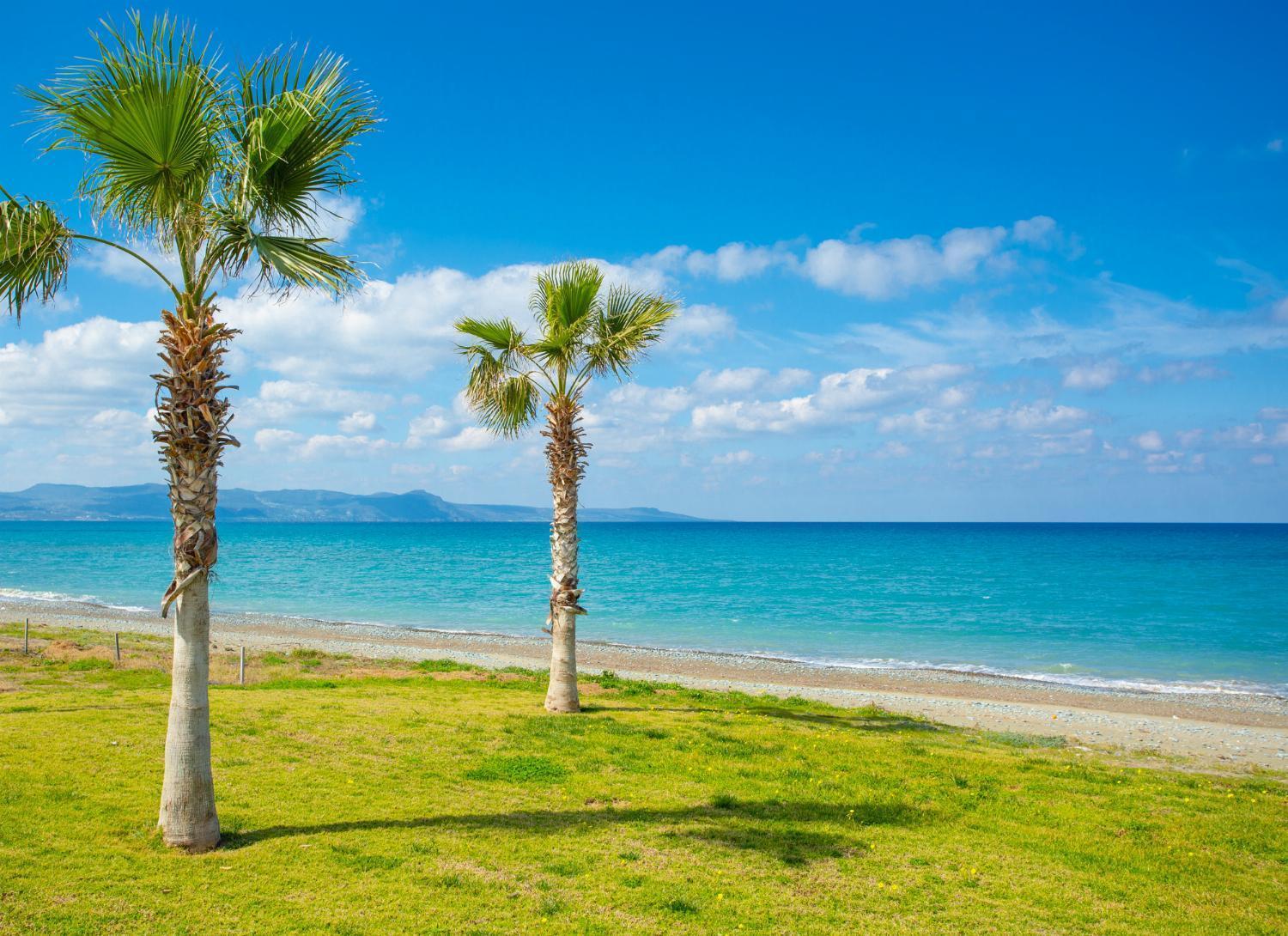Villa Irene Palace Paphos Ngoại thất bức ảnh